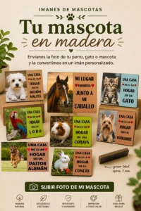 Portada Mascotas | Megauz shop