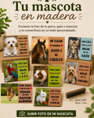 Portada Mascotas | Megauz shop